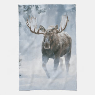 Eland loopt door boreale sneeuw theedoek