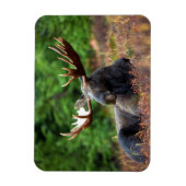 Eland Magneet (Verticaal)