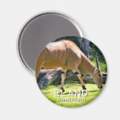 Eland Magneet (Voorkant / Achterkant)