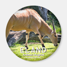 Eland Magneet