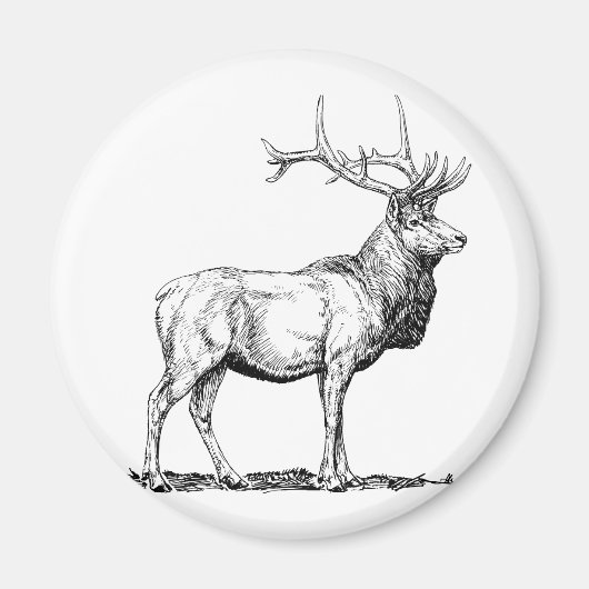 Eland Magneet (Voorkant)