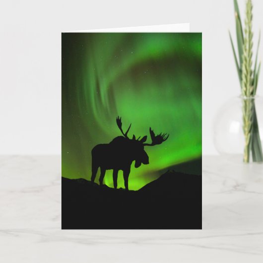 Eland met groene Aurora Borealis, Alaska Kaart (Voorkant)