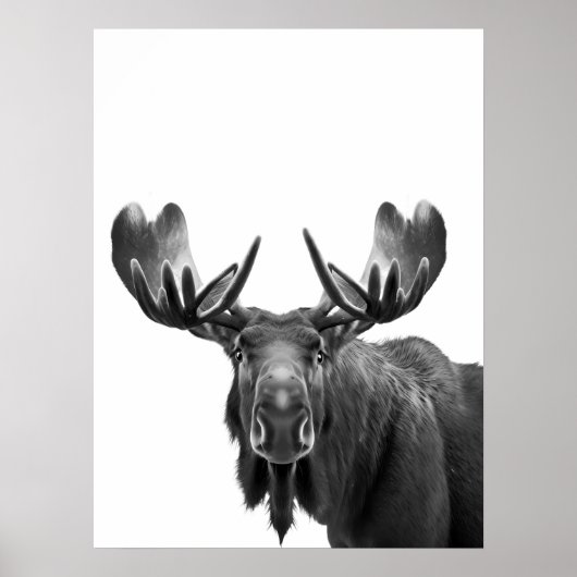 Eland Modern Portret zwart wit Poster (Voorkant)