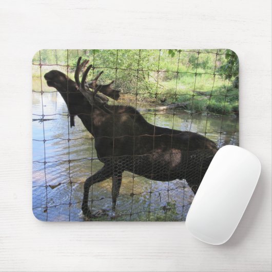 Eland Muismat (Met muis)