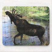 Eland Muismat (Voorkant)