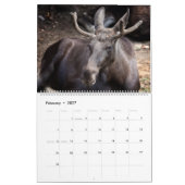 Eland Muurkalender 2027 Wilde Dieren Dieren Kalender (Feb 2027)