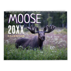 Eland Muurkalender 2027 Wilde Dieren Dieren Kalender