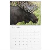 Eland Muurkalender 2027 Wilde Dieren Dieren Kalender (Mar 2027)