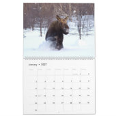 Eland Muurkalender 2027 Wilde Dieren Dieren Kalender (Jan 2027)