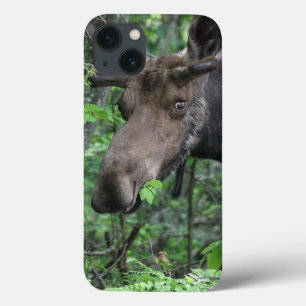 Eland Noordelijk Dierenpark Vrede Hoop Liefde Lots iPhone 13 Hoesje