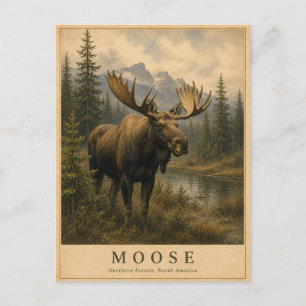 Eland Noordelijke Wouden VINTAGE Briefkaart