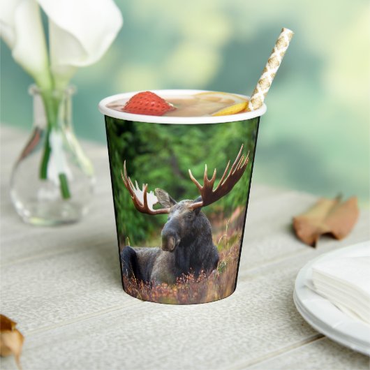 Eland Papieren Bekers (Insitu)