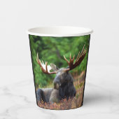 Eland Papieren Bekers (Achterkant)