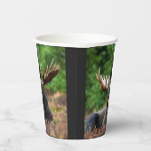Eland Papieren Bekers (Rechts)