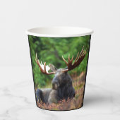 Eland Papieren Bekers (Voorkant)