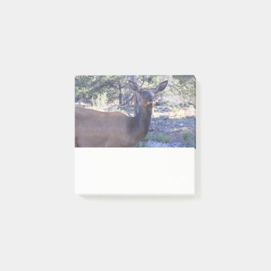 Eland Post-it Notitie Post-it® Notes (Voorkant)