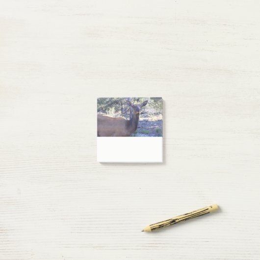 Eland Post-it Notitie Post-it® Notes (Op bureau)