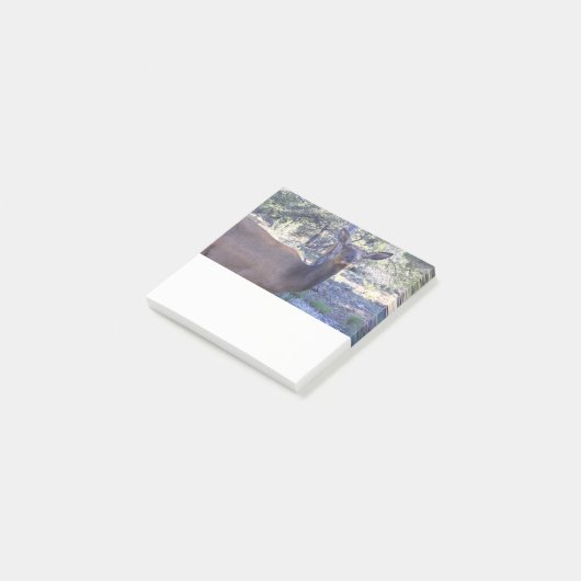 Eland Post-it Notitie Post-it® Notes (Schuin)