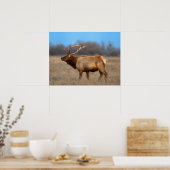 Eland profiel in de herfst poster (Keuken)