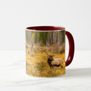 Eland Rocky Mountain National Park Colorado Mok