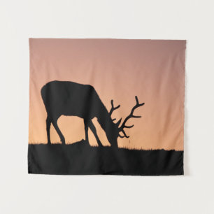 Eland Rocky Mountains National Park, Colorado Wandkleed