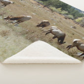 Eland schapenvacht deken (3/4)