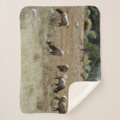 Eland schapenvacht deken (Voorkant)