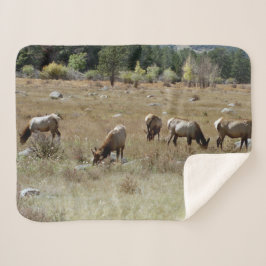 Eland schapenvacht deken