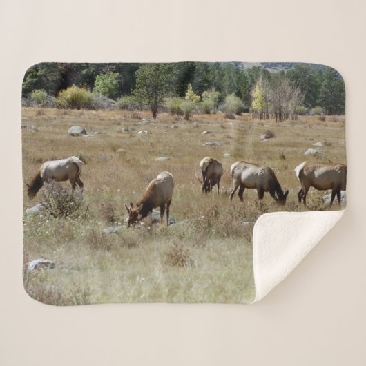 Eland schapenvacht deken (Voorkant (horizontaal))