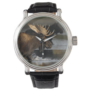 eland spatten in het water horloge
