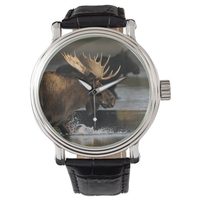 eland spatten in het water horloge (Voorkant)