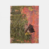Eland Staand In Rode Dwergberk Fleece Deken (Voorkant)