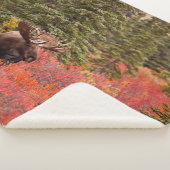 Eland Staand In Rode Dwergberk Sherpa Deken (3/4)