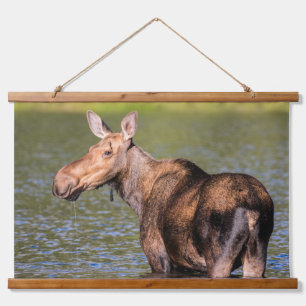 Eland voederen in Glacier National Park, Montana Hangend Wandkleed