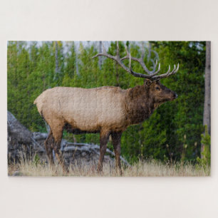 Eland Yellowstone National Park, Wyoming Legpuzzel
