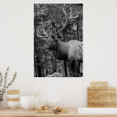 Eland Zwart Wit Foto Moderne Rustieke Blokhut Poster (Keuken)