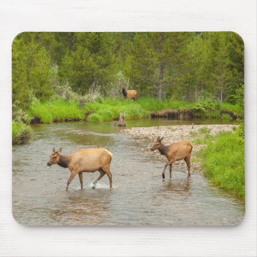Elanden die de Colorado rivier oversteken Muismat (Voorkant)