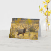 Elanden in Colorado Kaart (Gele Bloem)