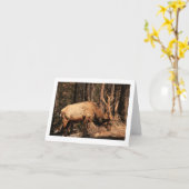 Elanden notecard kaart (Gele Bloem)