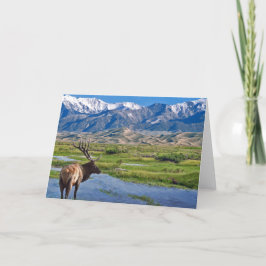 Elanden van de Bergen van Colorado de Rotsachtige Kaart