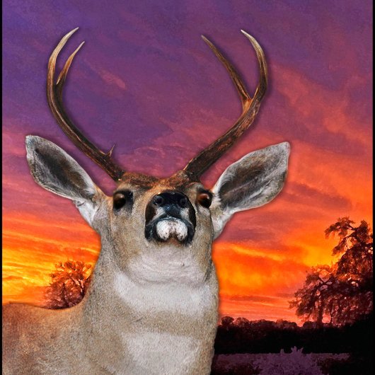 "ELANDEN VERFRISSEND AAN RIVIEREN RAND" CANVAS AFDRUK