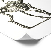 elandskelet, natuurlijke geschiedenis, natuur, bot poster (Hoek)