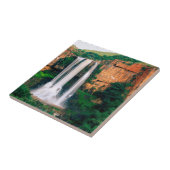 Elandsrivier-waterval, Mpumalanga, Zuid-Afrika Tegeltje (Zijkant)