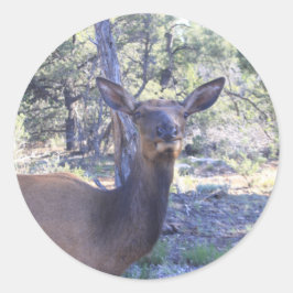 Elandstickers Ronde Sticker