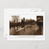 Elasmosaurus Gifts Briefkaart (Voorkant / Achterkant)