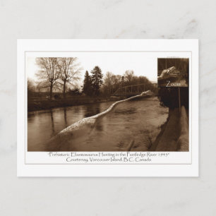 Elasmosaurus Gifts Briefkaart