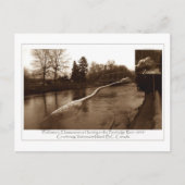 Elasmosaurus Gifts Briefkaart (Voorkant)