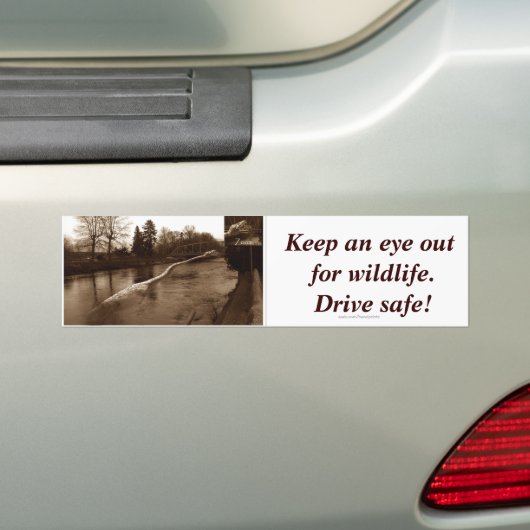 Elasmosaurus Gifts Bumpersticker (Op auto)