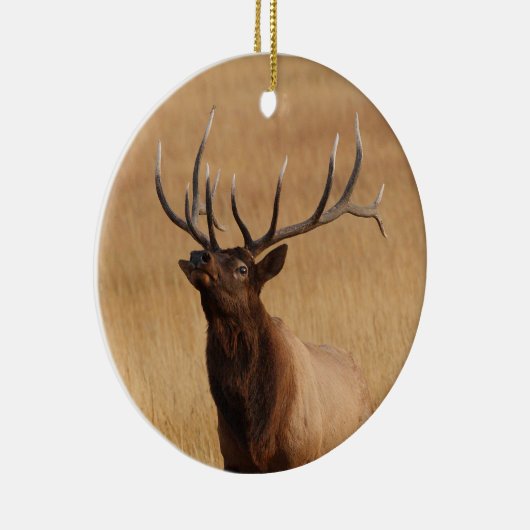 elasulering keramisch ornament (Rechts)