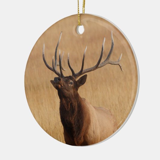 elasulering keramisch ornament (Links)